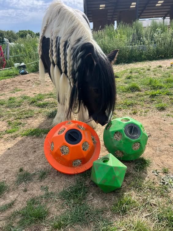 Hayfeeders Saturn Ball